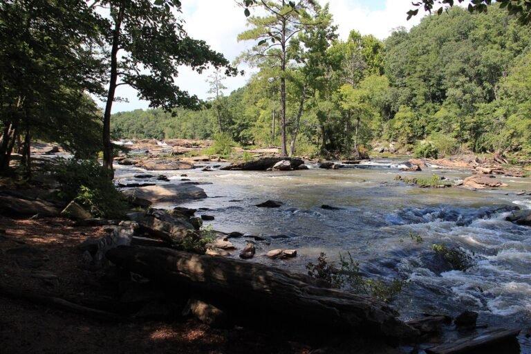 Sweetwater Creek Chattahoochee River 2013  Thomson200 1 768x512